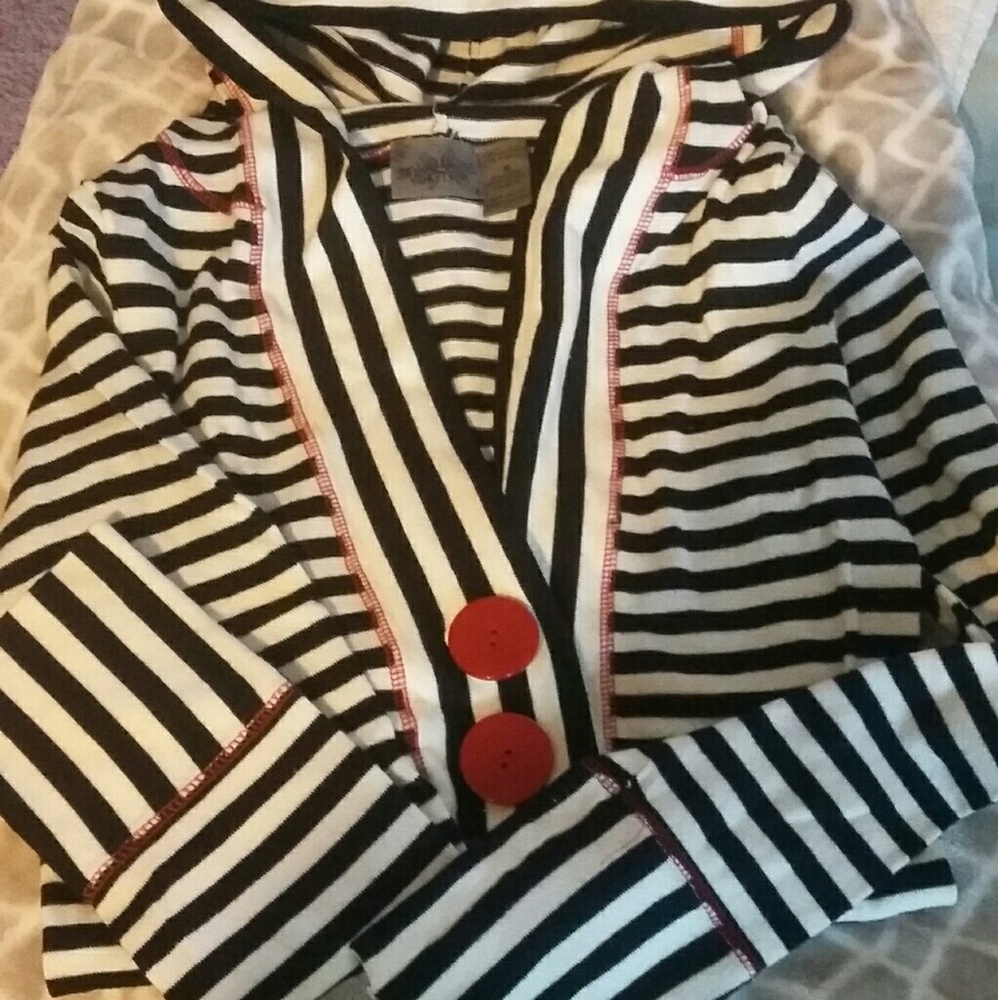 NWOT Striped hooded sweater